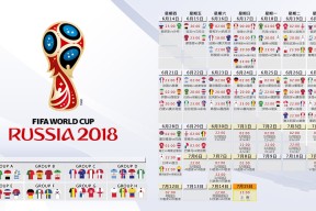 世界杯赛程安排-Scout孤军奋战难救主，日本队赛况迷雾重重引热议